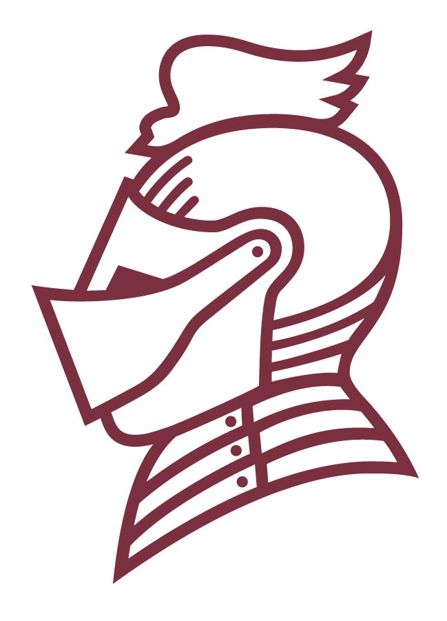 Bellarmine Knights 2010-Pres Secondary Logo diy iron on heat transfer